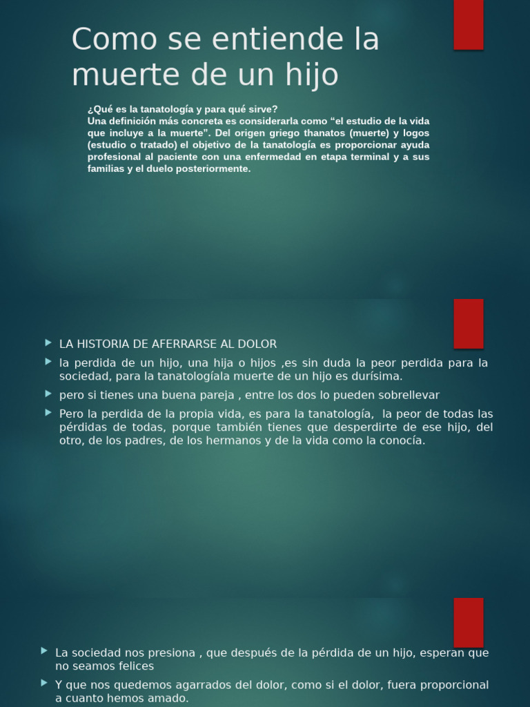 Como Se Entiende La Muerte de Un Hijo Modificado | PDF | Amor | Muerte