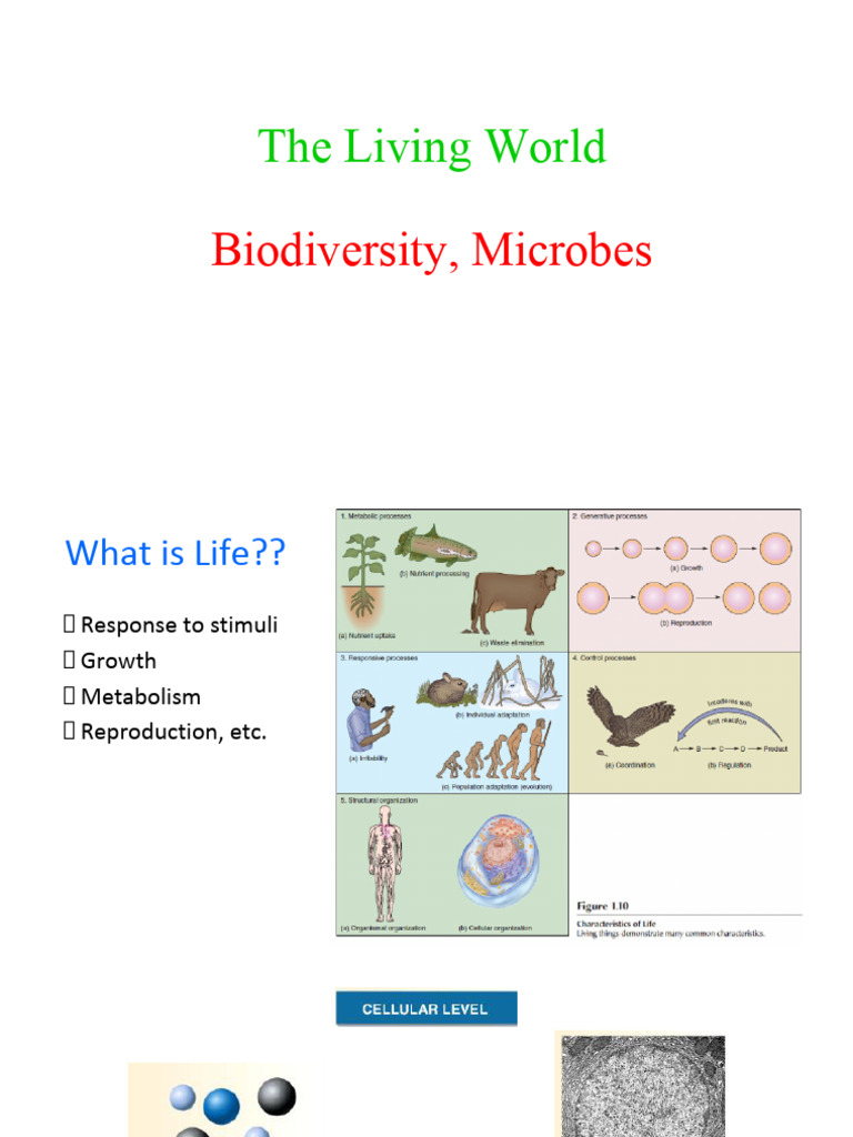 Understanding Biodiversity and Ecosystems | PDF