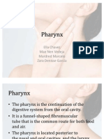 (Gen Ana) Pharynx