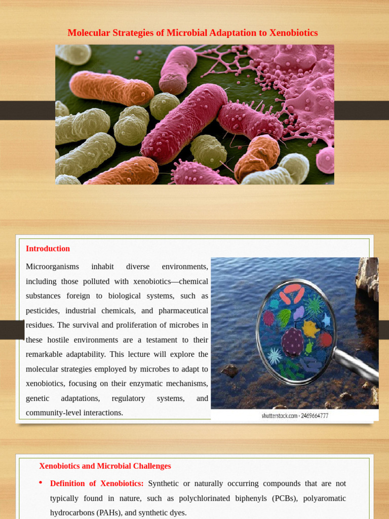 Microbial Adaptation to Xenobiotics | PDF | Enzyme | Metabolism
