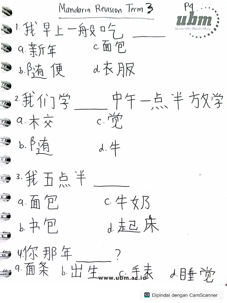 mandarin-revision-p4-pdf