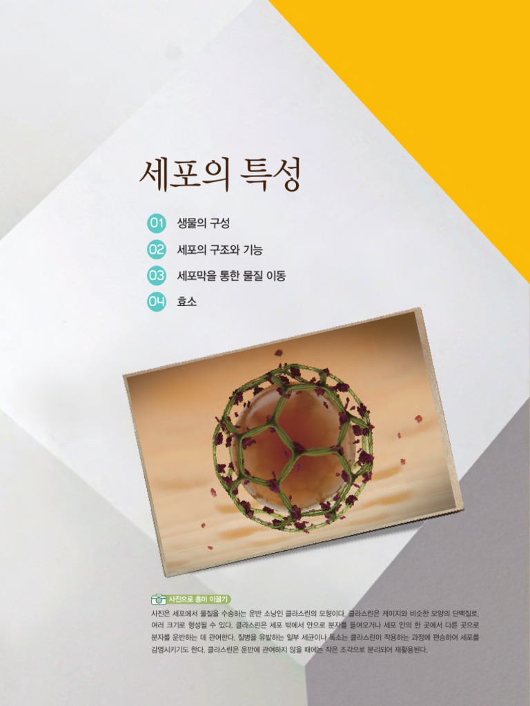 생화학: 임상 실험실에서의 생화학: 효소와 대사산물의 중요성 - FasterCapital, image size:768x1024