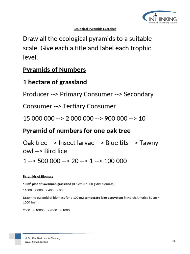 5-Ecological-Pyramids-Exercises - Docx