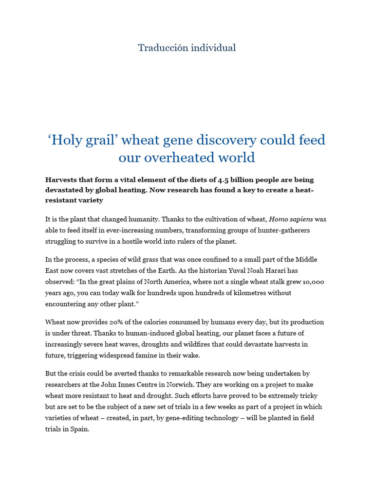Texto Informativo Holy Grail PDF Wheat Agriculture