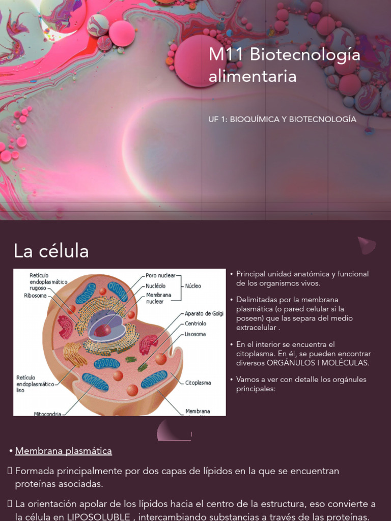 Nf2 La Célula | PDF