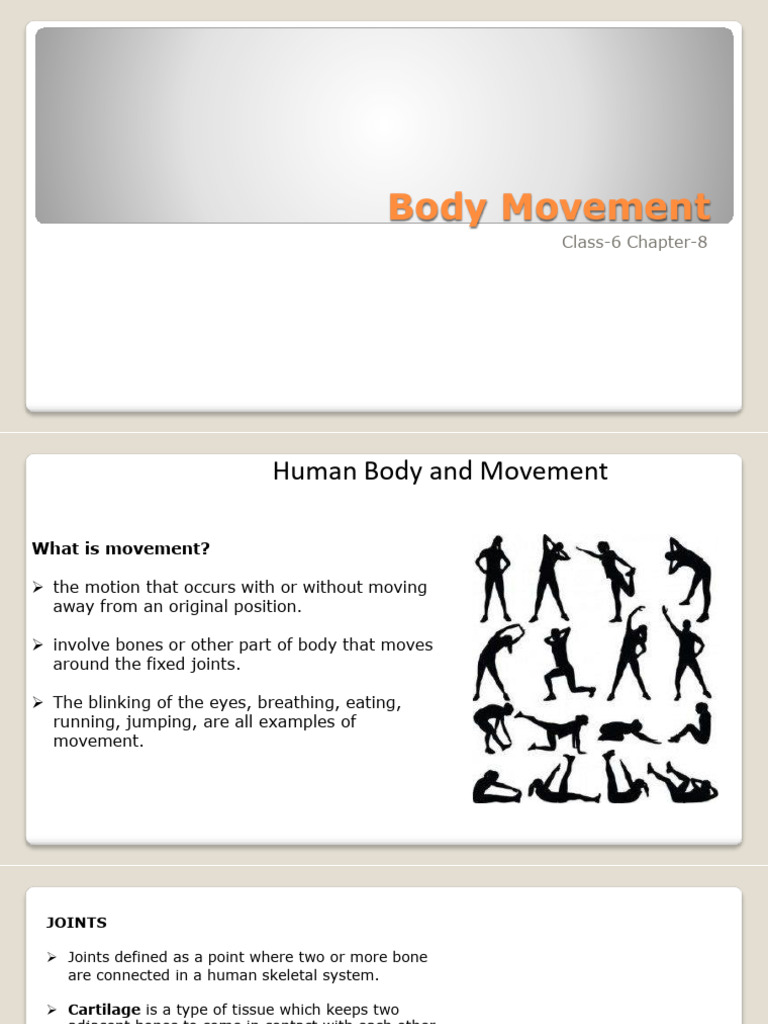 Body Movements CH 8 General Science | PDF | Vertebral Column | Skeleton