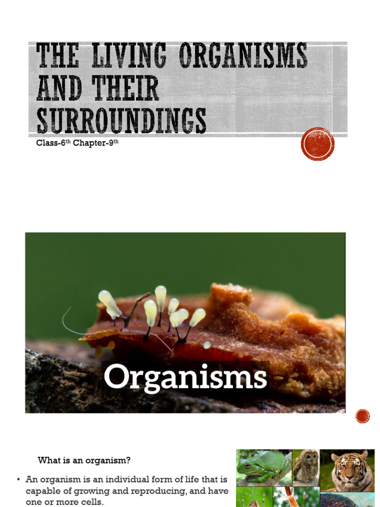 The Living Organisms and Their Su CH 9 | PDF | Habitat | Stimulus ...