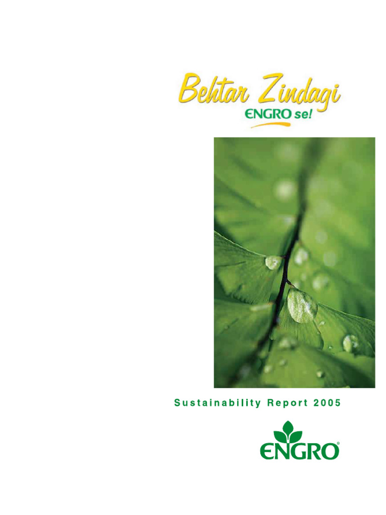 Engrocsrreport 2005 | PDF