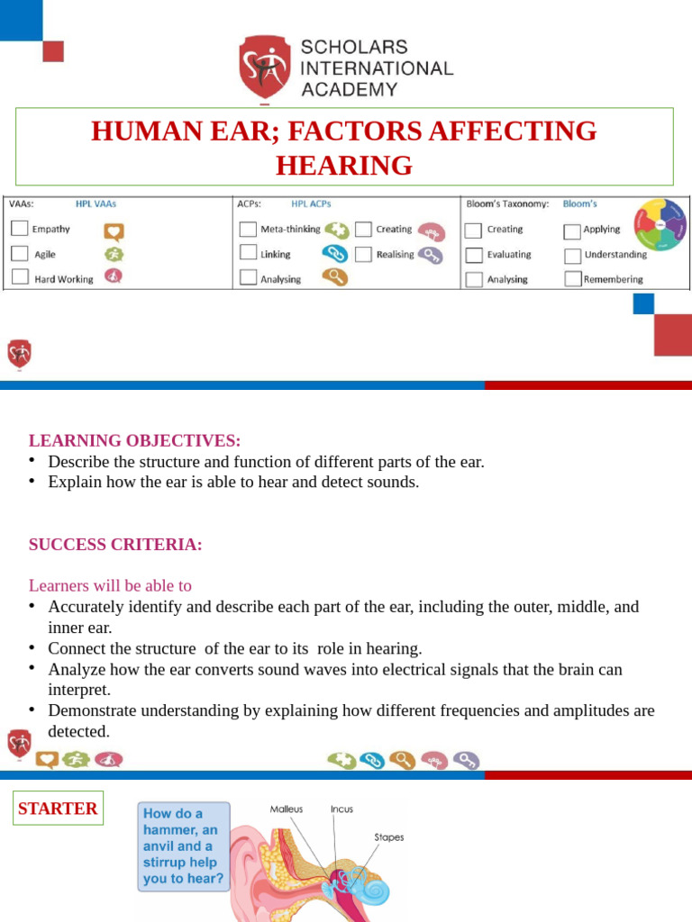 Human Ear Structure and Hearing Factors | PDF | Ear | Sound