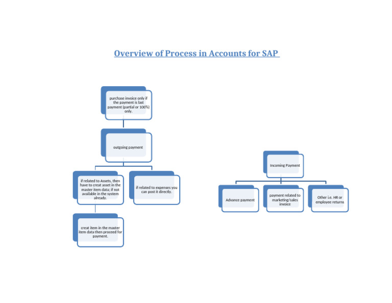 SAP Accounts Payment Process Overview | PDF