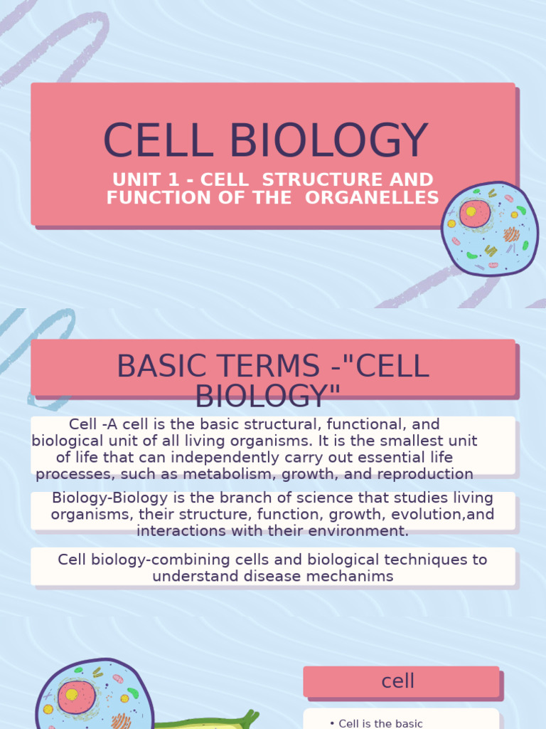 Cell Structure and Organelles Overview | PDF | Cell (Biology) | Prokaryote