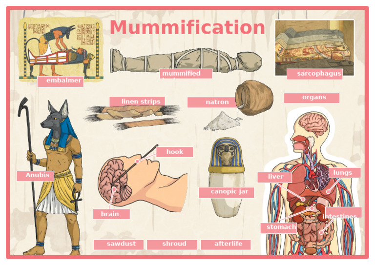 T H 1673272833 Mummification Word Mat - Ver - 1 | PDF