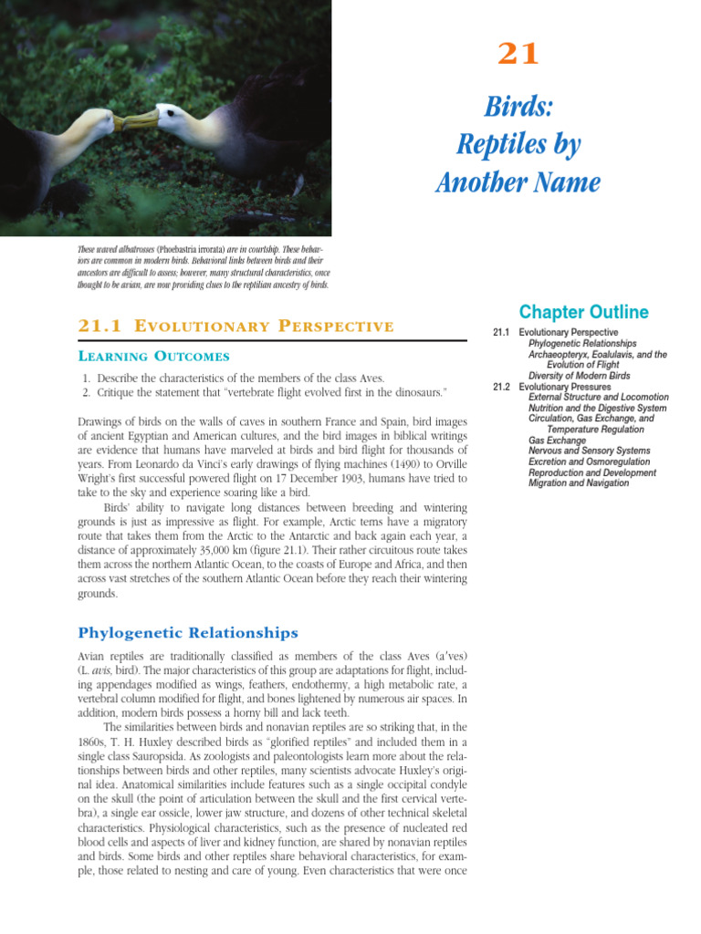 Evolution of Birds and Flight | PDF | Feather | Birds