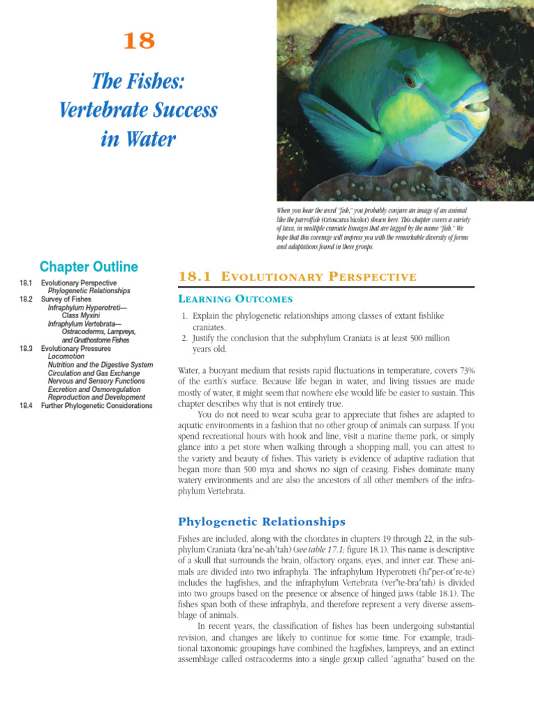 FISHES MILLER | PDF | Vertebrates | Fish