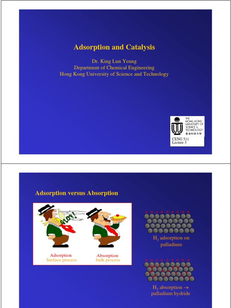 Adsorption and Catalysis Overview | PDF