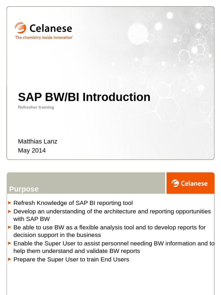 SAP BW/BI Overview and Training Guide | PDF | Data | Relational Database