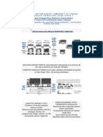 Medidas Autorizadas Camiones de Carga