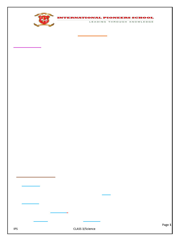 Class 3 - 5.2 New Words and Fill Ups | PDF