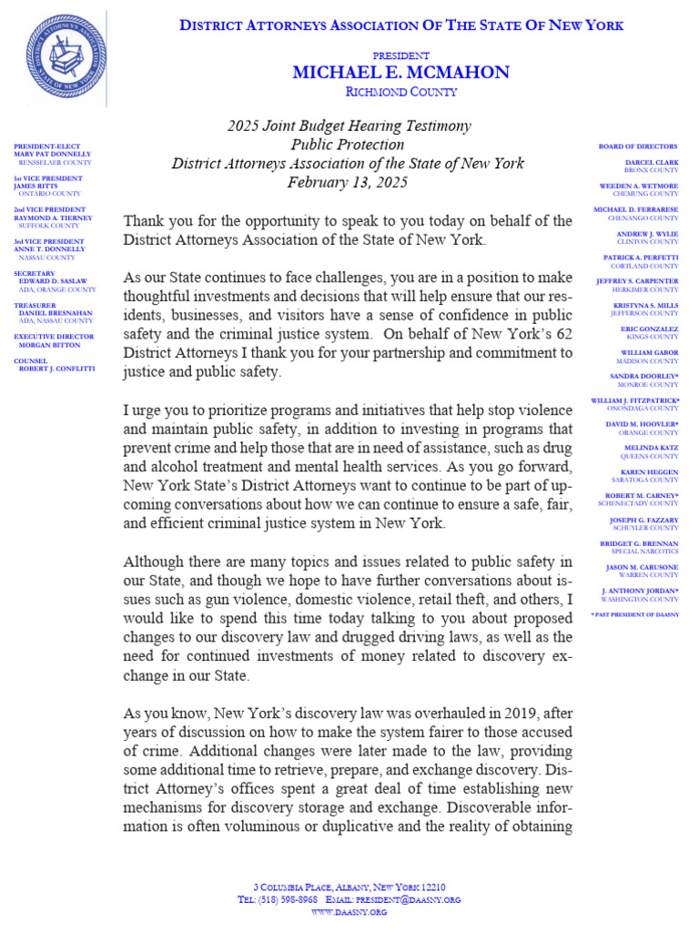 DAASNY 2025 Budget Hearing Testimony | PDF | Discovery (Law) | District ...