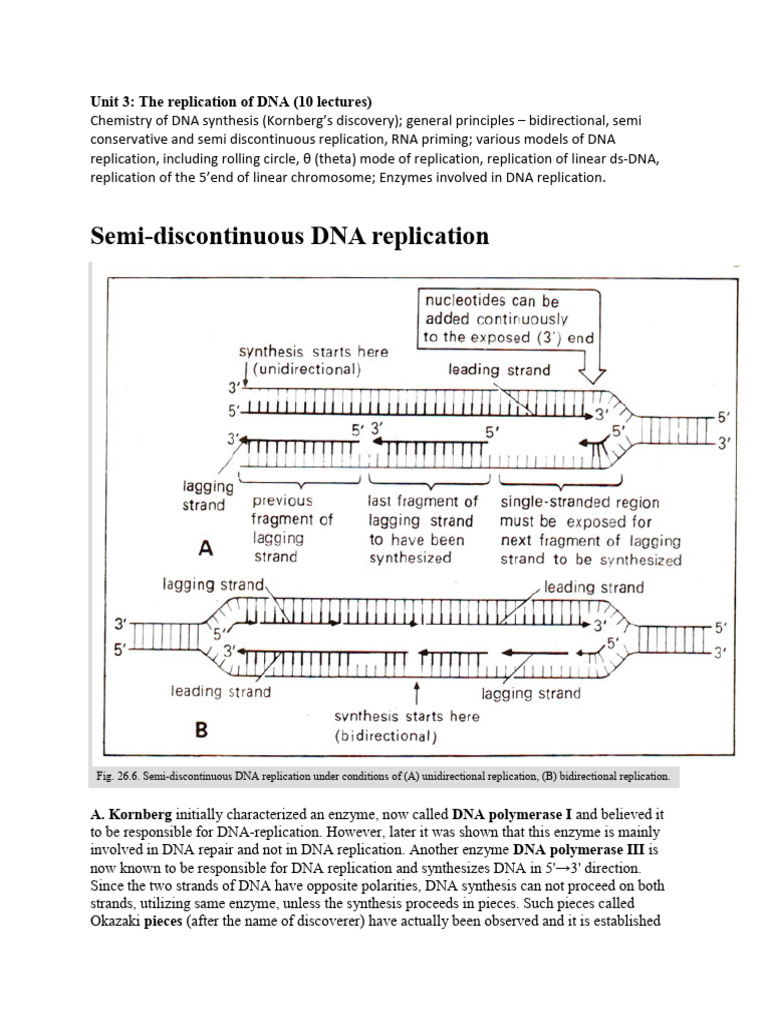 DNA Replication: Mechanisms and Enzymes | PDF | Dna Replication | Dna