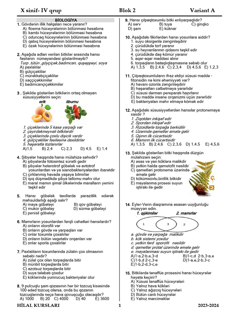 10 Qrup.4-1 | PDF