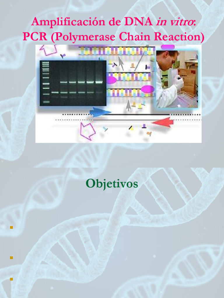 Amplificación de DNA: PCR (Polymerase Chain Reaction) : in Vitro | PDF ...