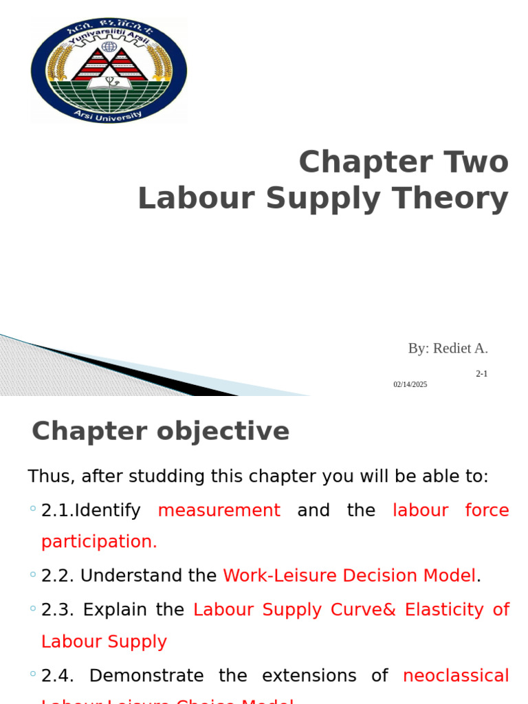 Labour Supply Theory Overview | PDF | Labour Economics | Unemployment