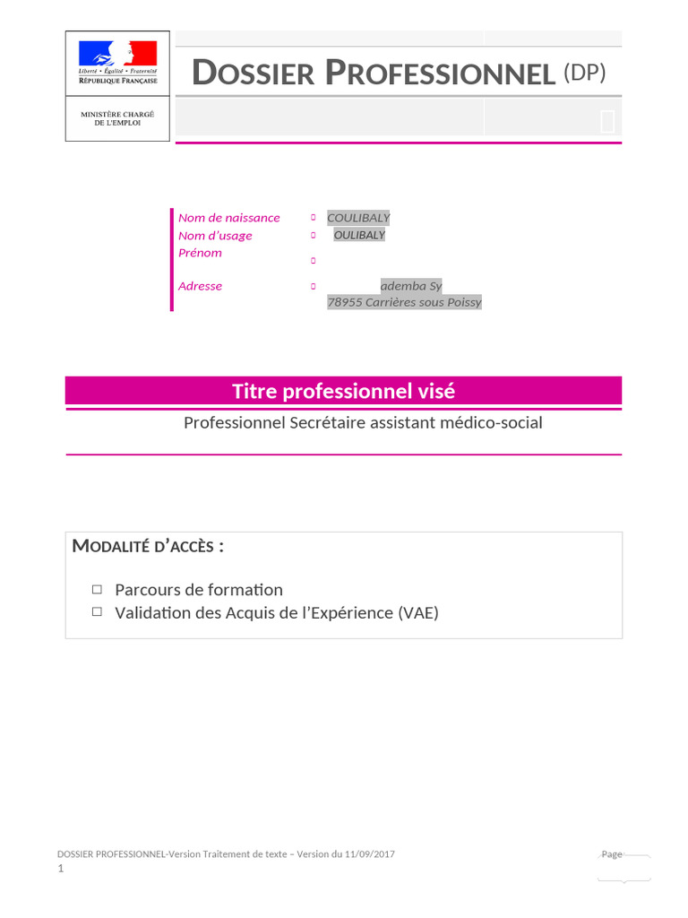 Dossier Professionnel Secrétaire Médico-Social | PDF