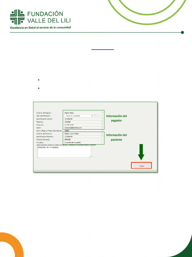 Instrucciones para Pago en Línea | PDF