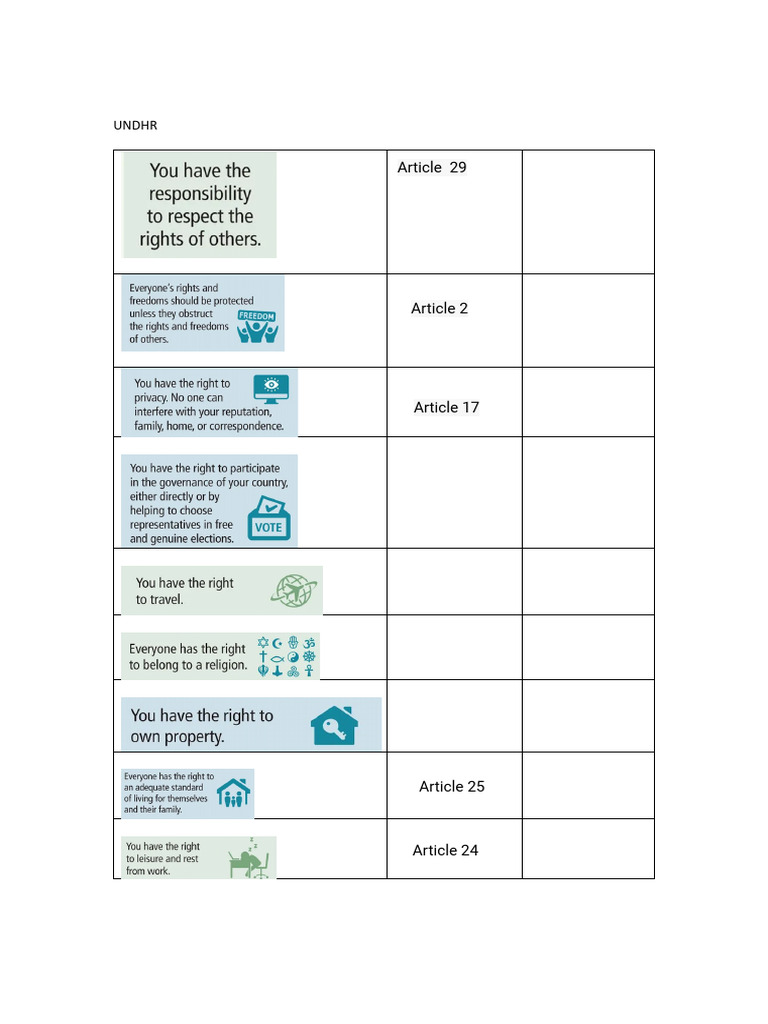 Overview of UN Declaration Articles | PDF