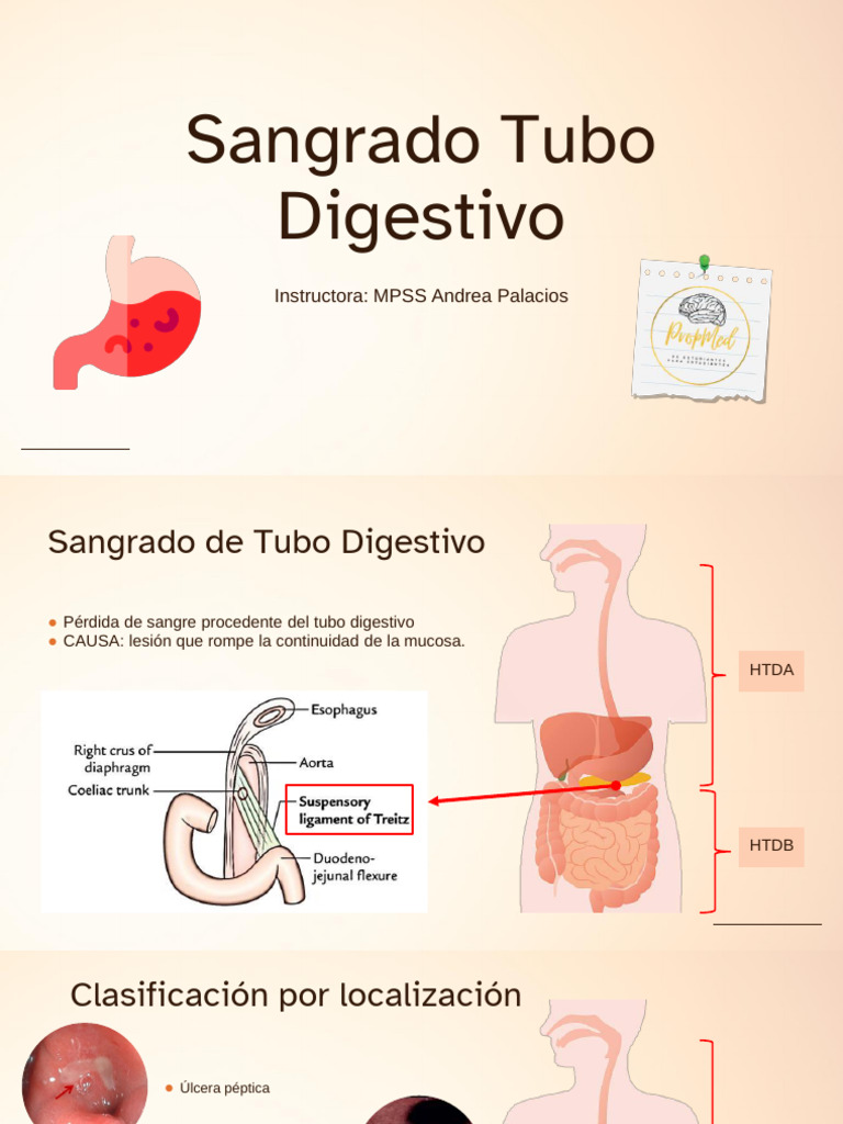 sangrado-del-tubo-digestivo-causas-y-tratamiento-pdf-heces