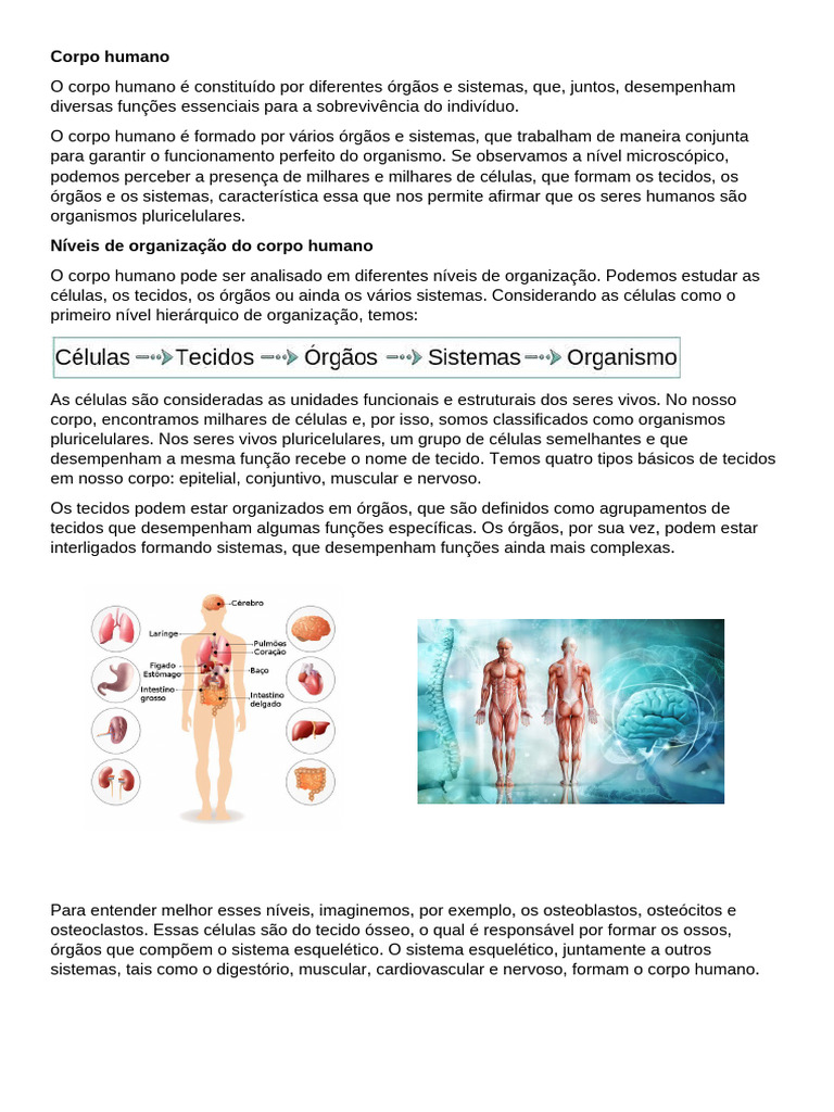 Corpo Humano | PDF