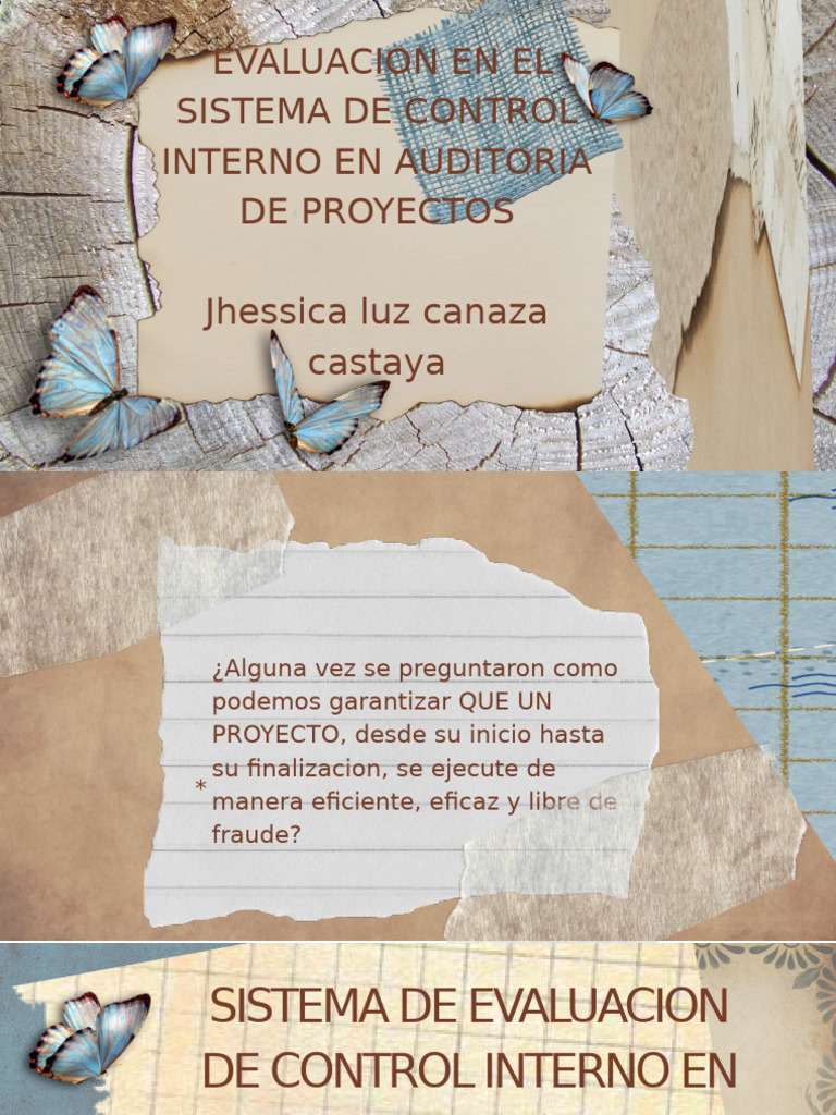 Evaluación de Control Interno en Proyectos | PDF | Auditoría | Business