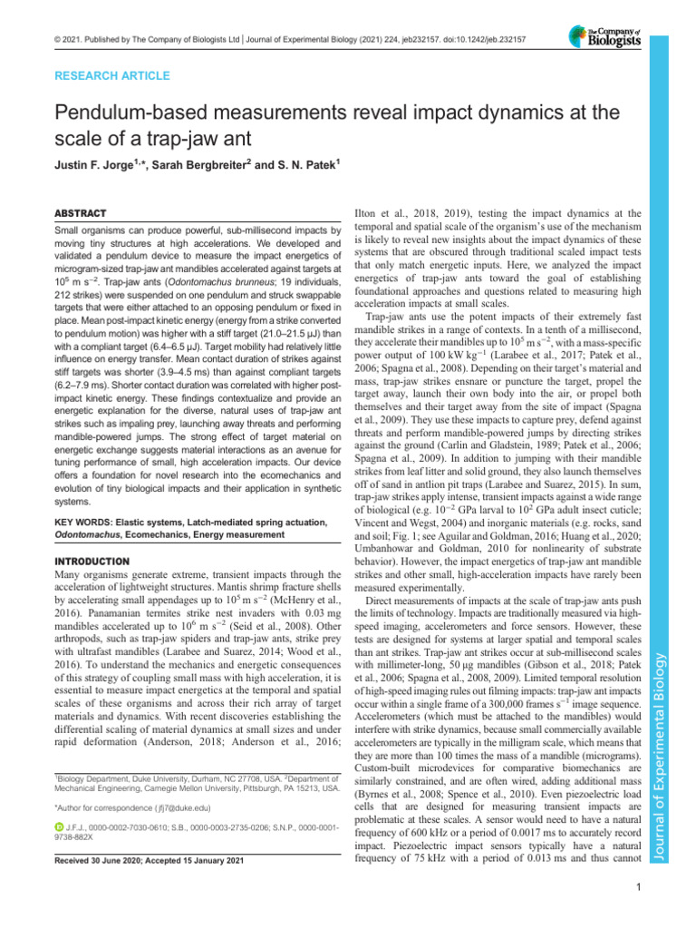 Trap-Jaw Ant Impact Dynamics Study | PDF | Pendulum | Mechanics