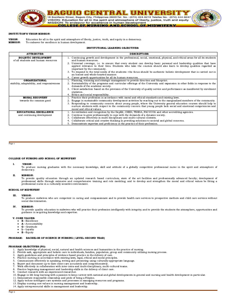 Nursing Informatics Course Overview | PDF | Nursing | Computer Science