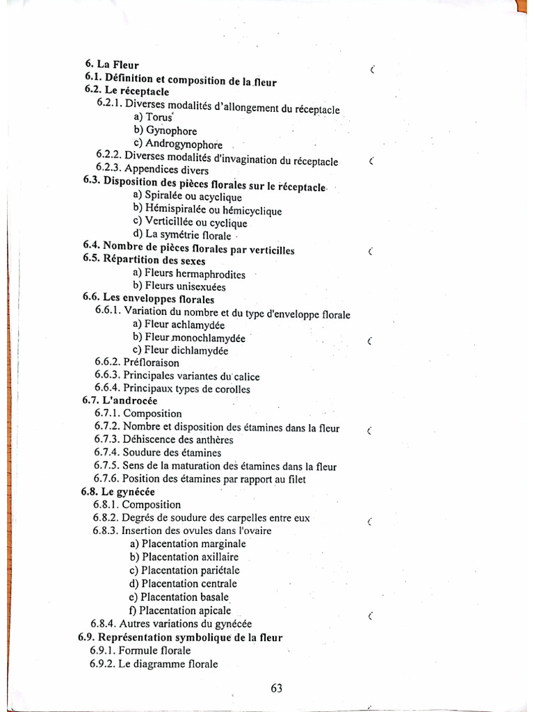 6 Fleur | PDF