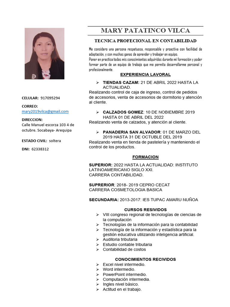 Perfil Profesional de Mary Patatinco Vilca | PDF | Business | Informática