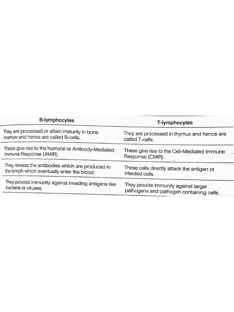 Isc Differences | PDF