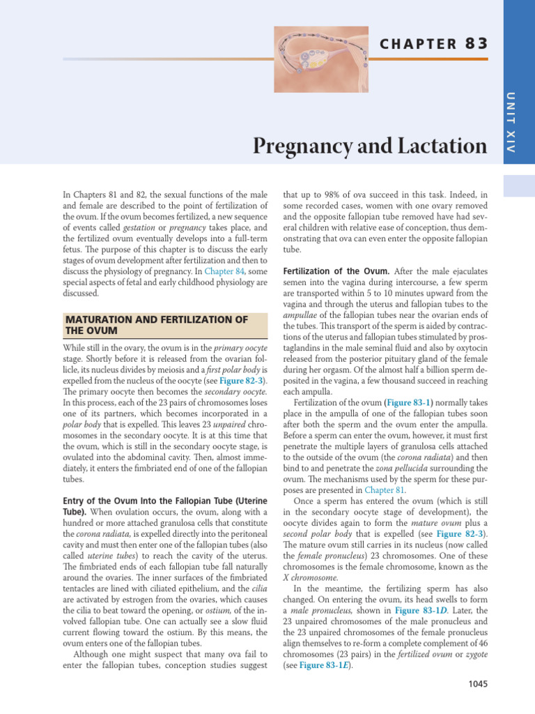 Ovum Fertilization and Early Pregnancy | PDF | Placenta | Menstrual Cycle