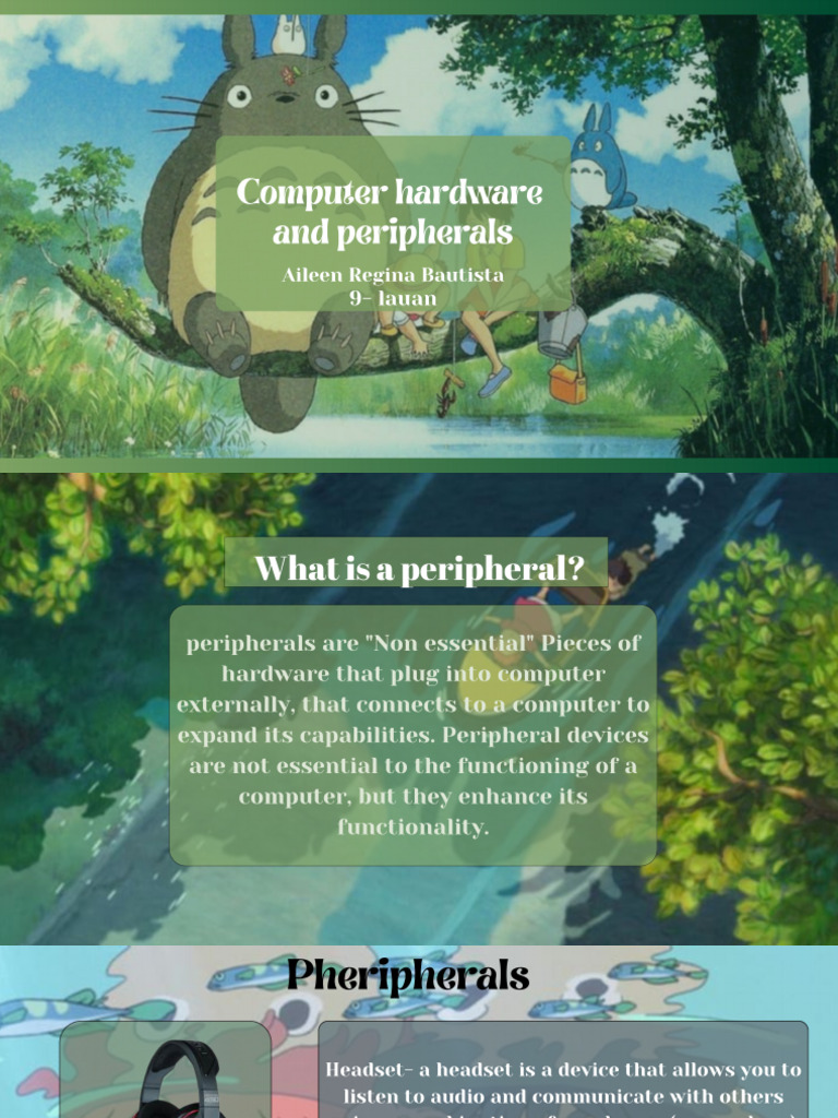 Computer Hardware and Peripherals | PDF