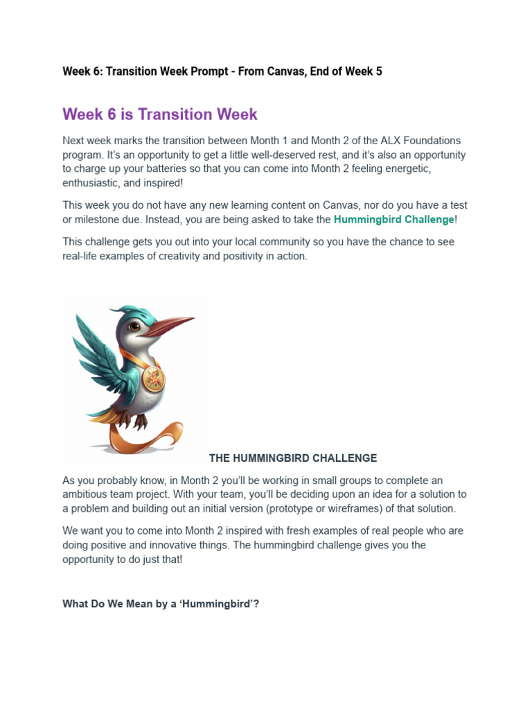 Hummingbird Challenge: Community Inspiration | PDF | Creativity