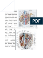 Anatomi Dan Histologi Kelenjar Adrenal