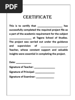 A4 Project File Template for Students | PDF