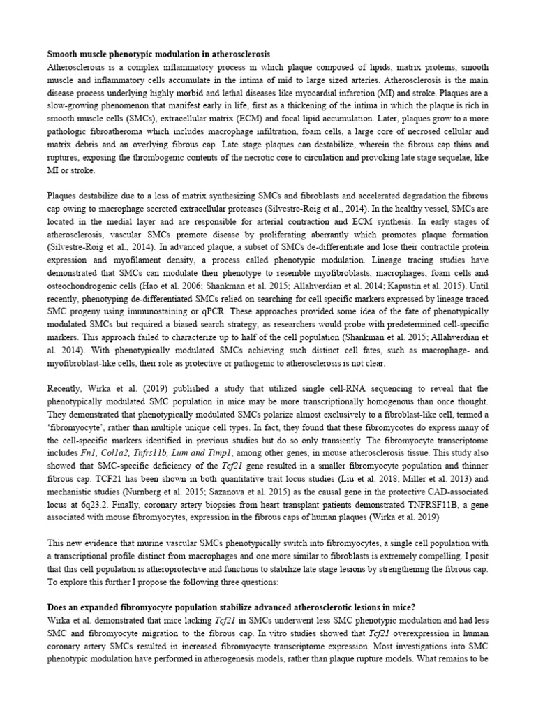 Research Based Essay Sample | PDF | Atheroma | Atherosclerosis