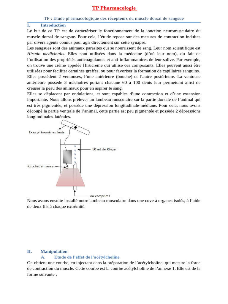 Pharmacologie TP | PDF | Contraction du muscle | Muscle