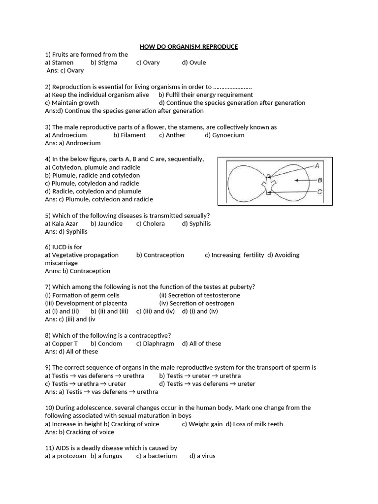 How Do Organism Reproduce | PDF | Reproduction | Fertilisation