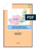 Processus DDR en Ituri: Succès, Faiblesses Et Perspectives 2008