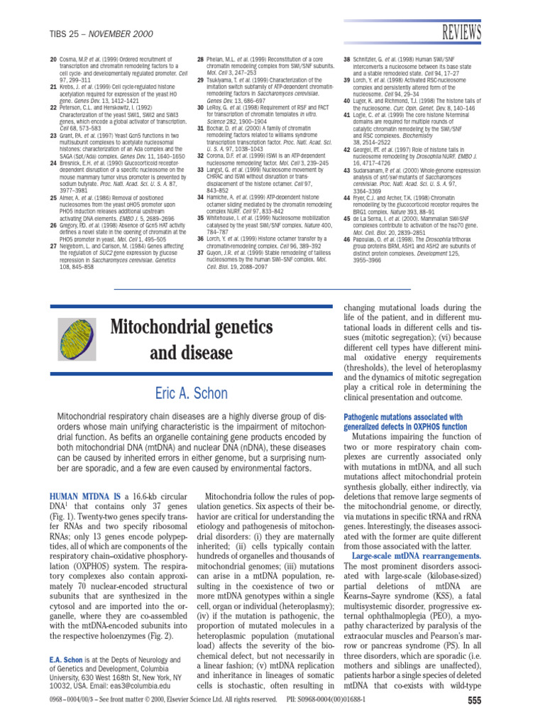 Mitochondrial Genetics and Disorders | PDF | Mitochondrial Dna ...
