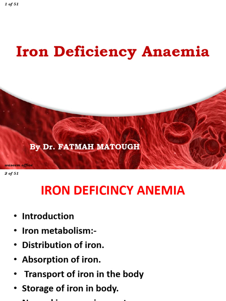 Understanding Iron Deficiency Anemia | PDF | Anemia | Iron