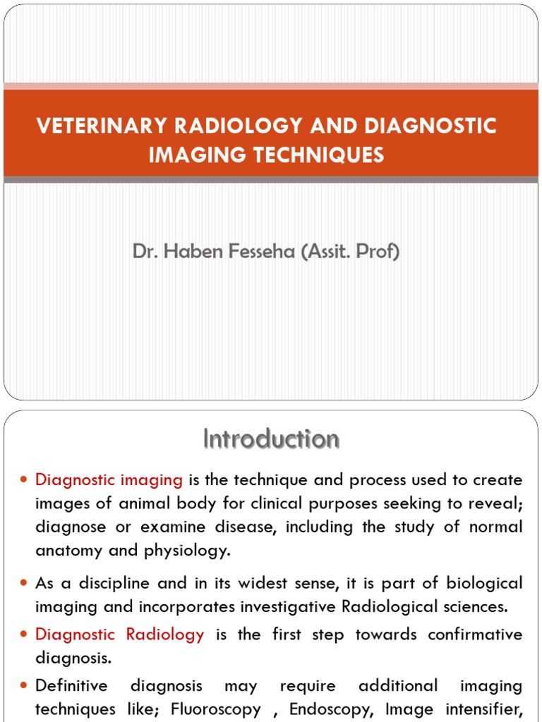 Veterinary Radiology Techniques Overview | PDF | Radiography | Radiology